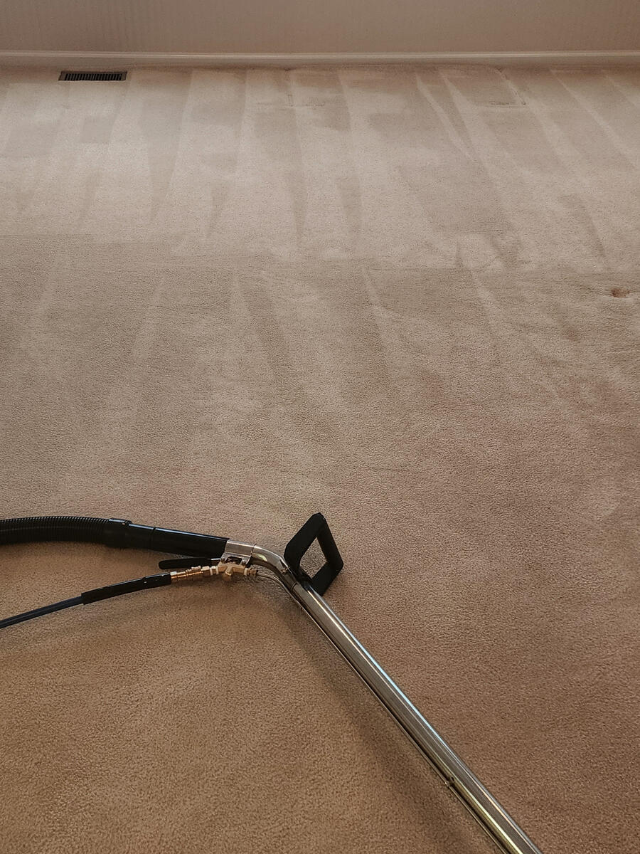 Professional carpet cleaning / Limpieza profesional de alfombras