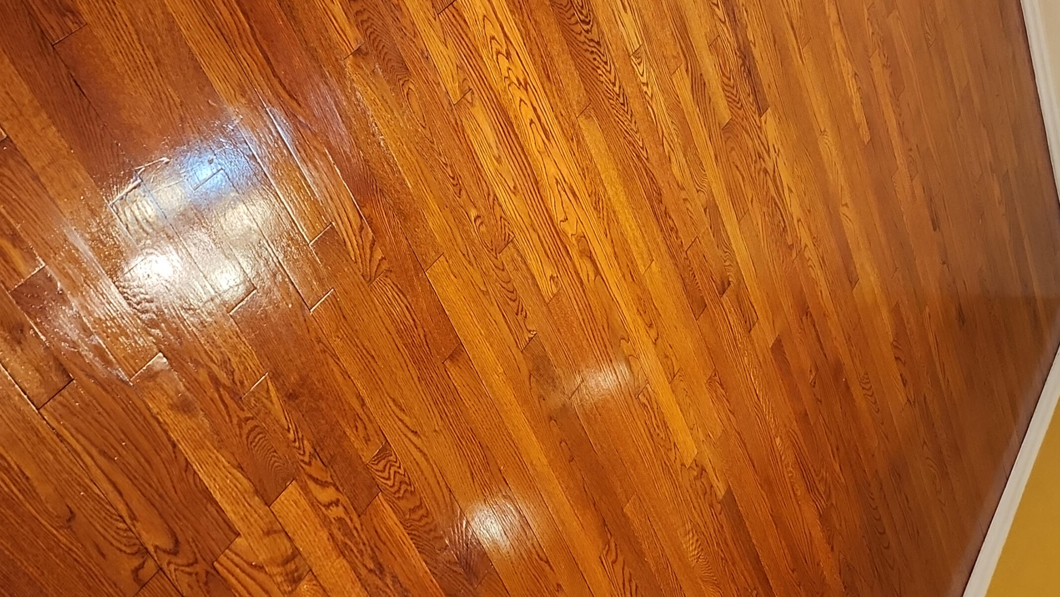 Floor care / Cuidado de pisos